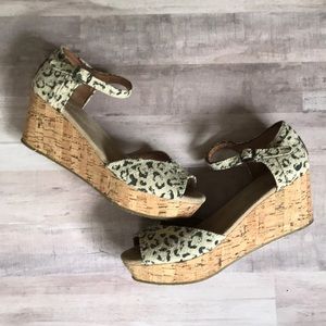 TOMS